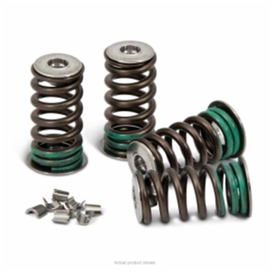 Pro Circuit Ventilfeder Kit Kawasaki KXF 250 04-16 Zulauf ZAP-Technix-Shop