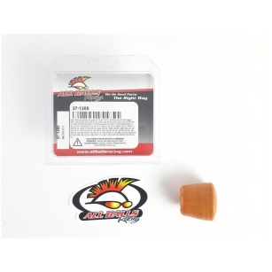 Schwinglager Kit LTR450 06-09 Schwingenlager ZAP-Technix-Shop