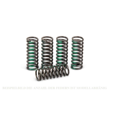 Pro Circuit Kupplungsfedern Honda CRF 250 18-19 Zulauf ZAP-Technix-Shop