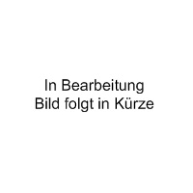 Zündkerze NGK Iridum Zündkerzen ZAP-Technix-Shop