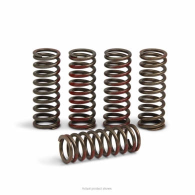 Pro Circuit Kupplungsfedern Honda CRF 250 20- Zulauf ZAP-Technix-Shop
