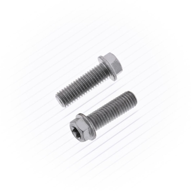 Schraube M8-1.25×25 Euro Style Flansch 10 Stück Zulauf ZAP-Technix-Shop