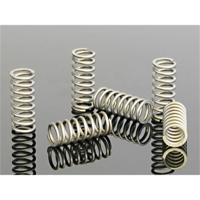 Kupplungsfedernset KTM SXF 250 06-, EXCF 07- Kupplungsteile ZAP-Technix-Shop