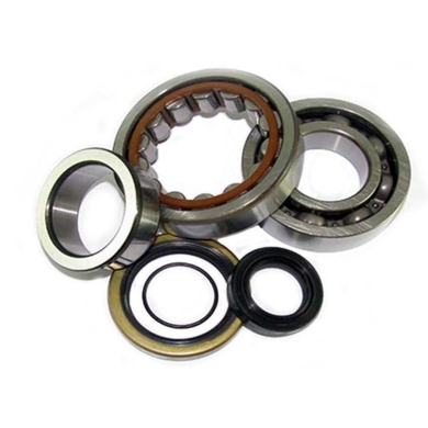 Kurbelwellenlager Kit Kawasaki KX250 87-01 Kurbelwellenlager ZAP-Technix-Shop