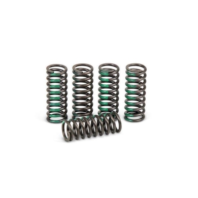 Pro Circuit Kupplungsfedern Honda CRF 250 04- 09 Motorteile ZAP-Technix-Shop