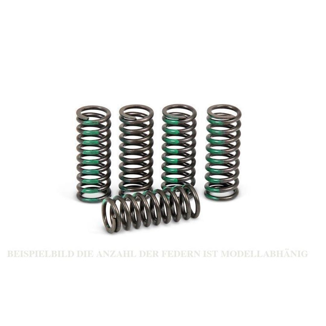 Pro Circuit Kupplungsfedern Honda CRF 450 09- 12 Motorteile ZAP-Technix-Shop